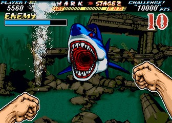 image de The First Funky Fighter